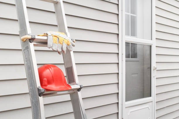 Best Historical Building Siding Restoration  in Mankato, MN