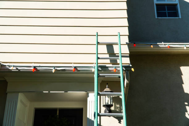 Best Stone Veneer Siding  in Mankato, MN