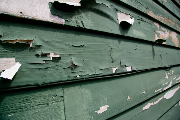Best Engineered Wood Siding  in Mankato, MN