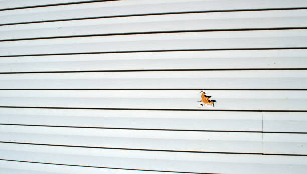 Best Wood Siding Installation  in Mankato, MN