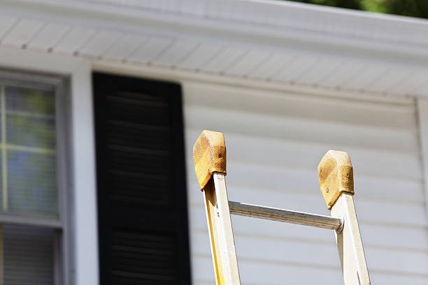 Best Custom Siding Design  in Mankato, MN